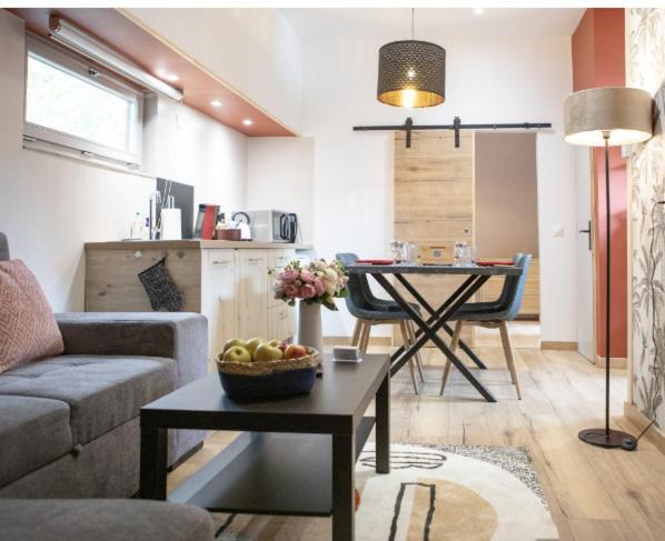 ストラスブールLa Peniche De Fabrice Avec Jacuzzi Privatifアパートメント 部屋 写真